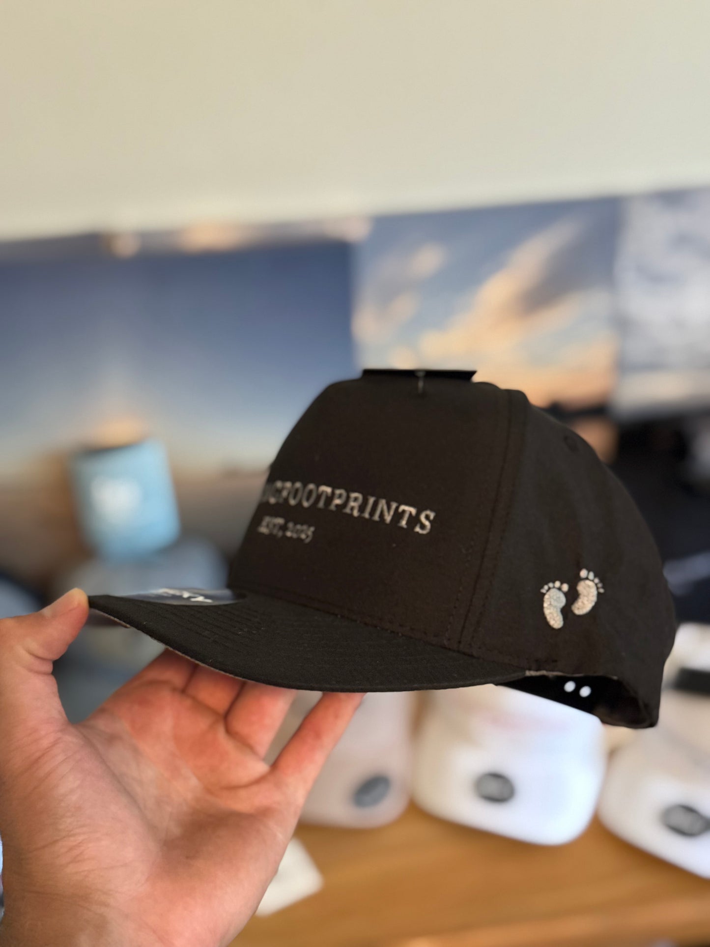 BASEBALL HATS